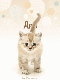 Имена женские анимации на мобильный телефон скачать бесплатно. анимации для телефона